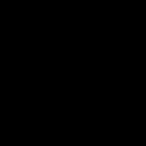 Meet your Posher, Tanner